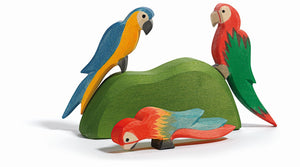 Parrot red