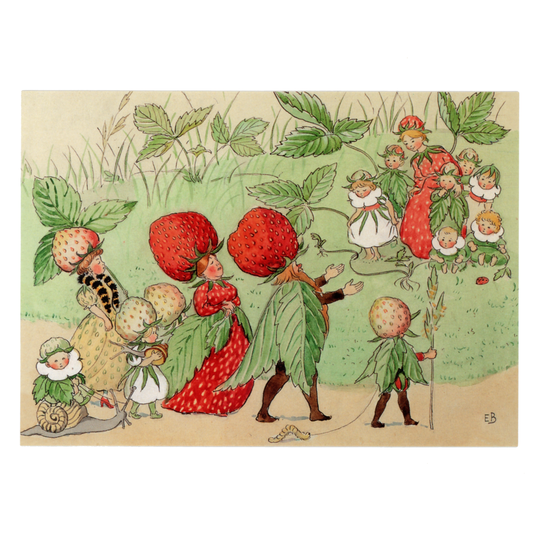 The Strawberry Family postcard