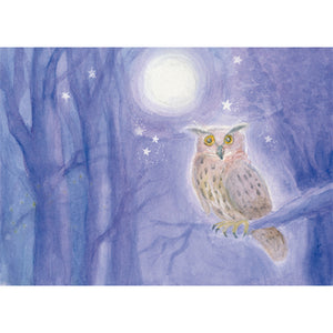 The eagle owl at full moon postcard