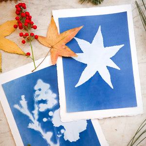 Cyanotype paper - 12 sheets