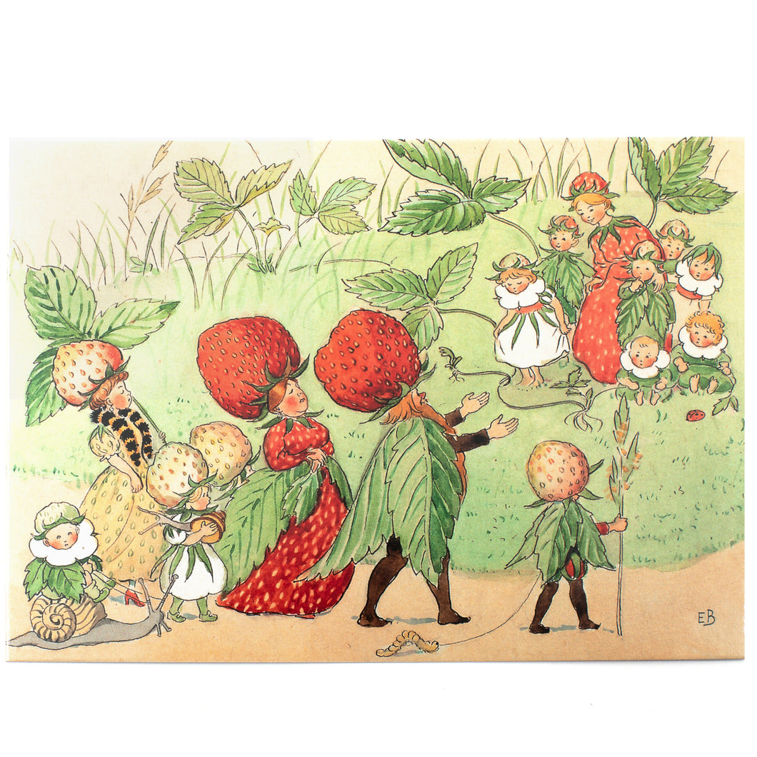 The Strawberry Family postcard