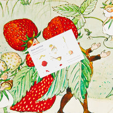 Load image into Gallery viewer, Strawberry Family Seek &amp; Find
